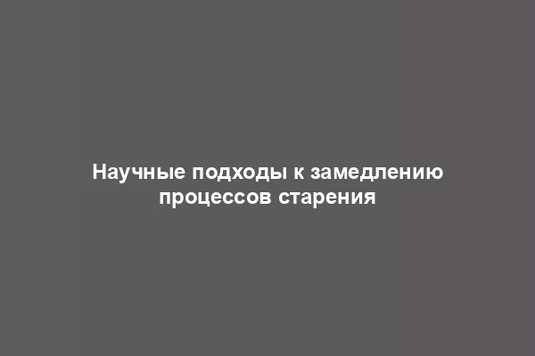 Научные подходы к замедлению процессов старения