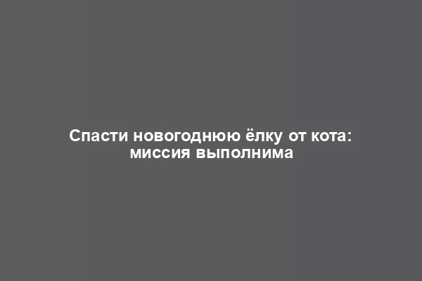 Спасти новогоднюю ёлку от кота: миссия выполнима