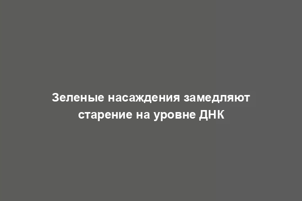 Зеленые насаждения замедляют старение на уровне ДНК